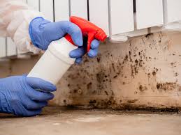 Best Attic Mold Removal  in University City, MO